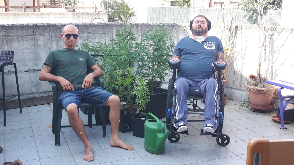 NATURAL CANAPA… NOI